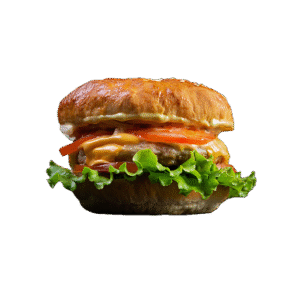 Monday Special - Chicken Burger